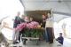IMG_3786視察台灣國際蘭展進行撤展暨蘭花運往各景點-讓台南「遍地開花」 (3).JPG
