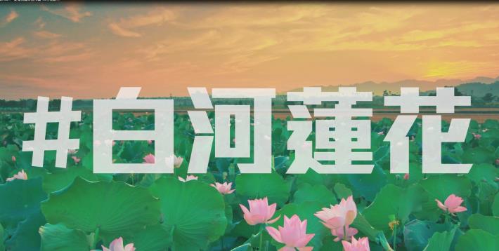 05_台南夏季宣傳影片-白河蓮花季