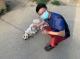 照片2圓仔深受動物之家獸醫師喜愛
