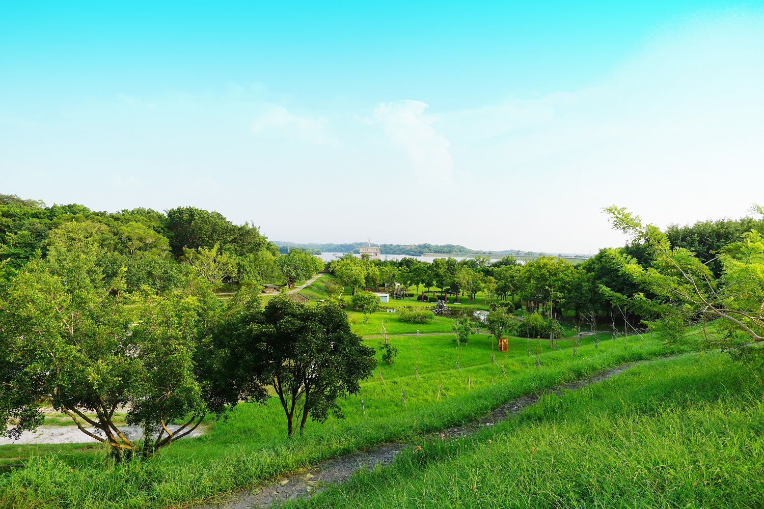 《魚頭君帶路》十月號｜漫步官田菱角田梗間 感受水雉與在地共好的日常