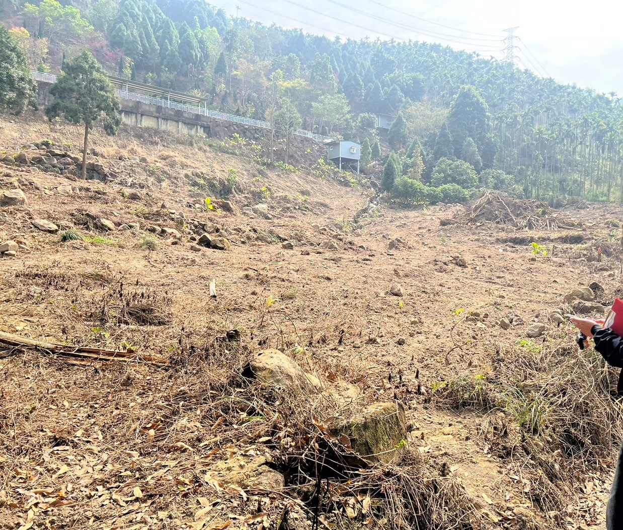 關子嶺紫雲殿後方山坡地疑似不法開發案 市府聲明：合法申請，將加強監督水土保持