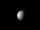 20230411_venus_0_0