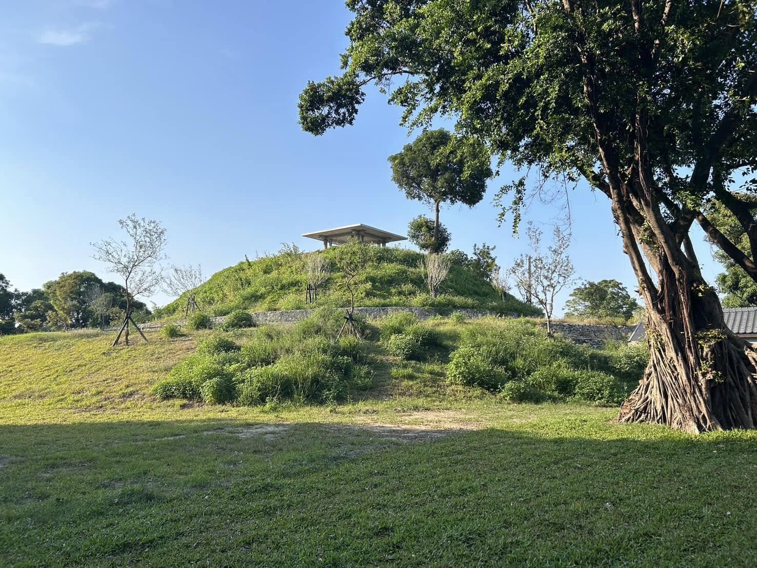 水交社畫蛇添福新春大集(吉)   桂子山集運登頂慶新年