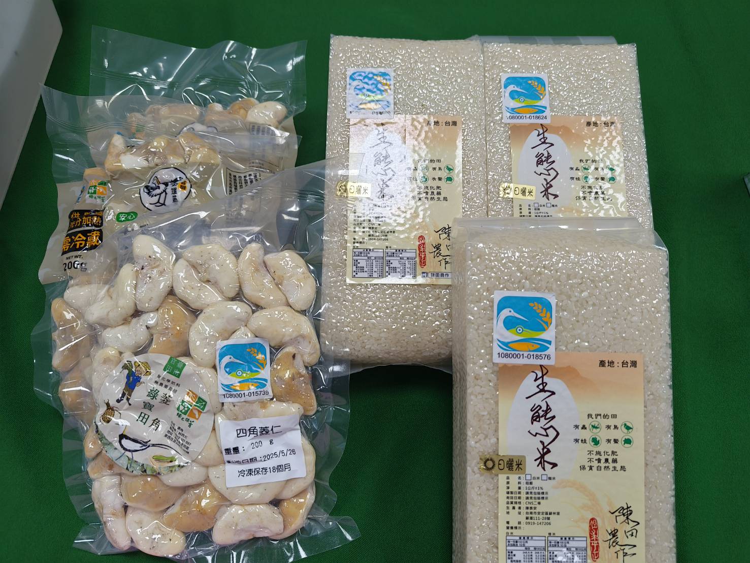 水雉繁殖季登場，繁殖通報獎勵金申請開跑