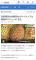 NHK報導宇土學童品嘗台南鳳梨新聞