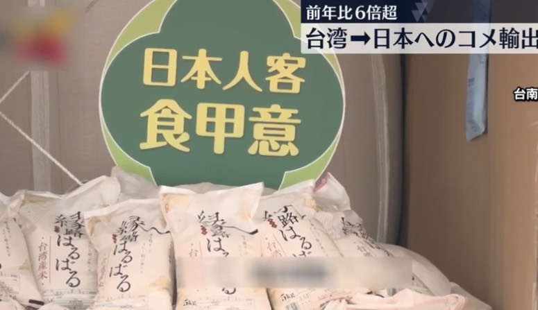 台南優質米搶進日本市場獲好評 日媒體、網紅盛讚「台灣米」Q彈有嚼勁