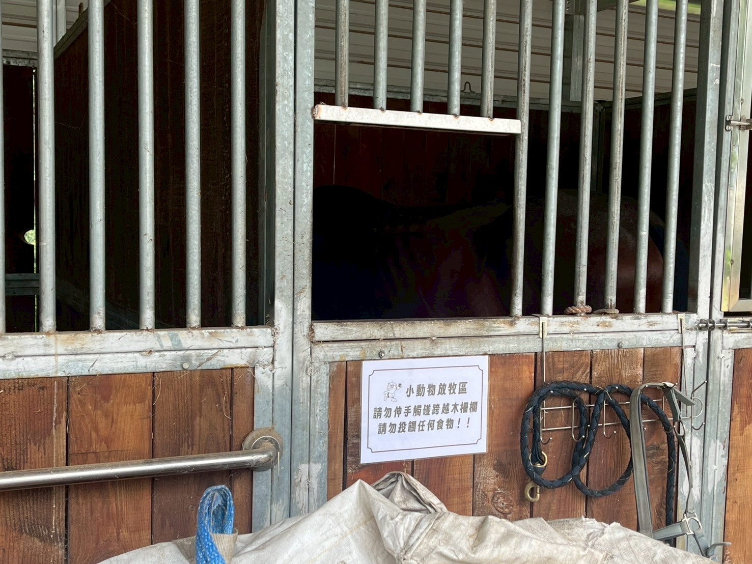 強力取締不法! 台南市政府跨局處稽查山裏咖啡廳 南市府:連續發罰至改善為止