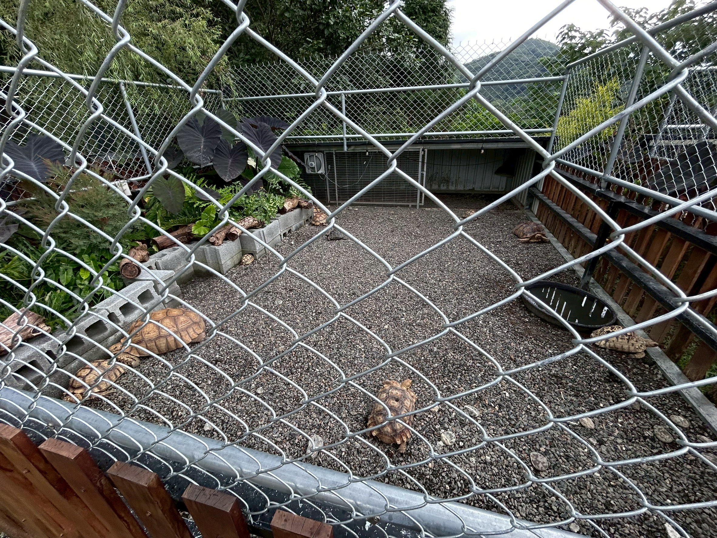 強力取締不法! 台南市政府跨局處稽查山裏咖啡廳 南市府:連續發罰至改善為止