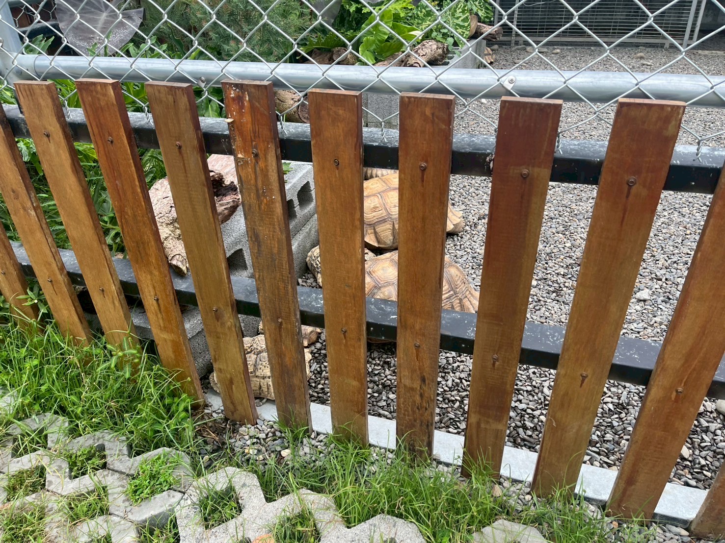 強力取締不法! 台南市政府跨局處稽查山裏咖啡廳 南市府:連續發罰至改善為止