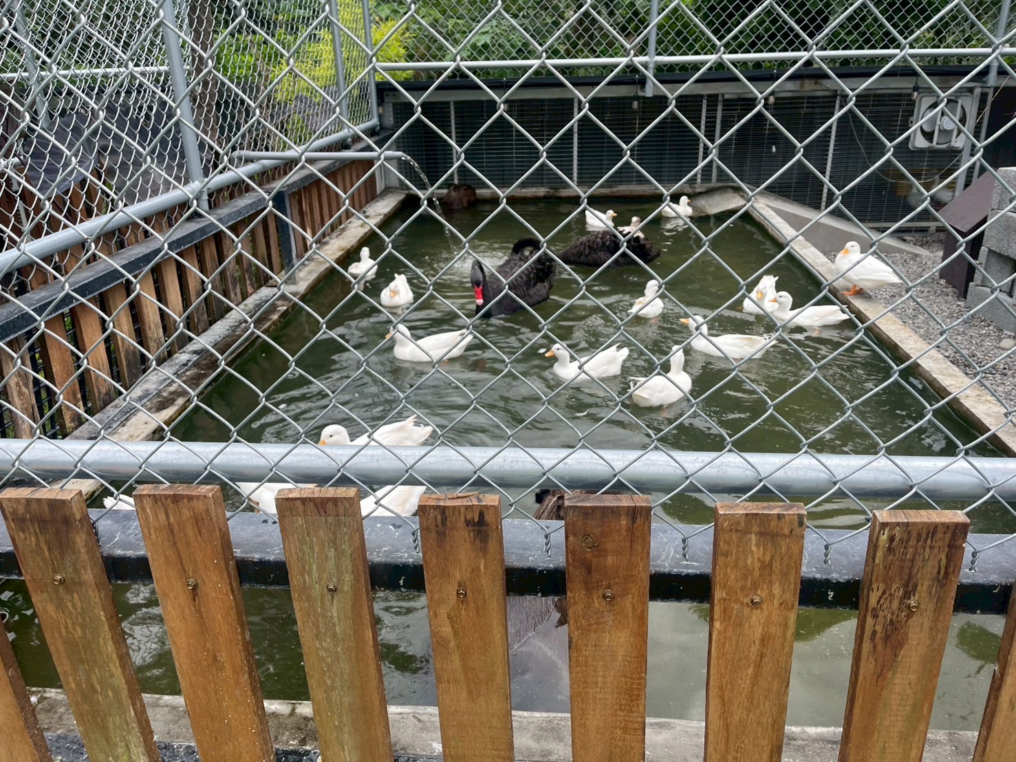 強力取締不法! 台南市政府跨局處稽查山裏咖啡廳 南市府:連續發罰至改善為止