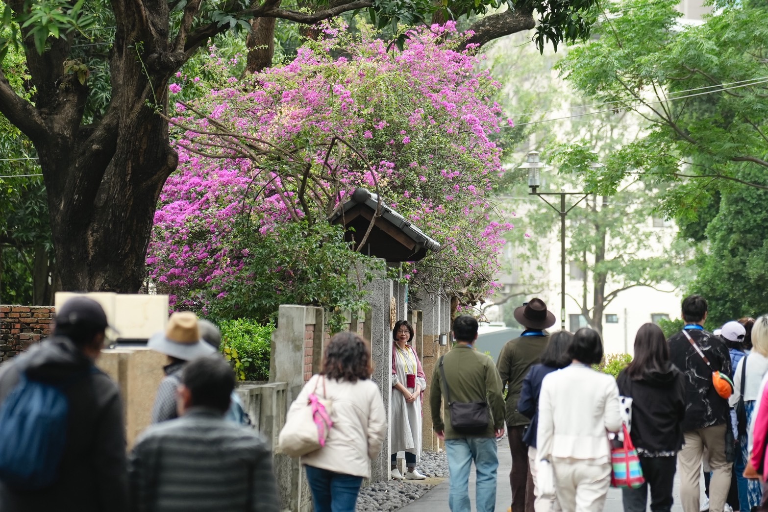 321巷藝術聚落7月1日起戶外午後開放 邀民眾漫遊古蹟綠意