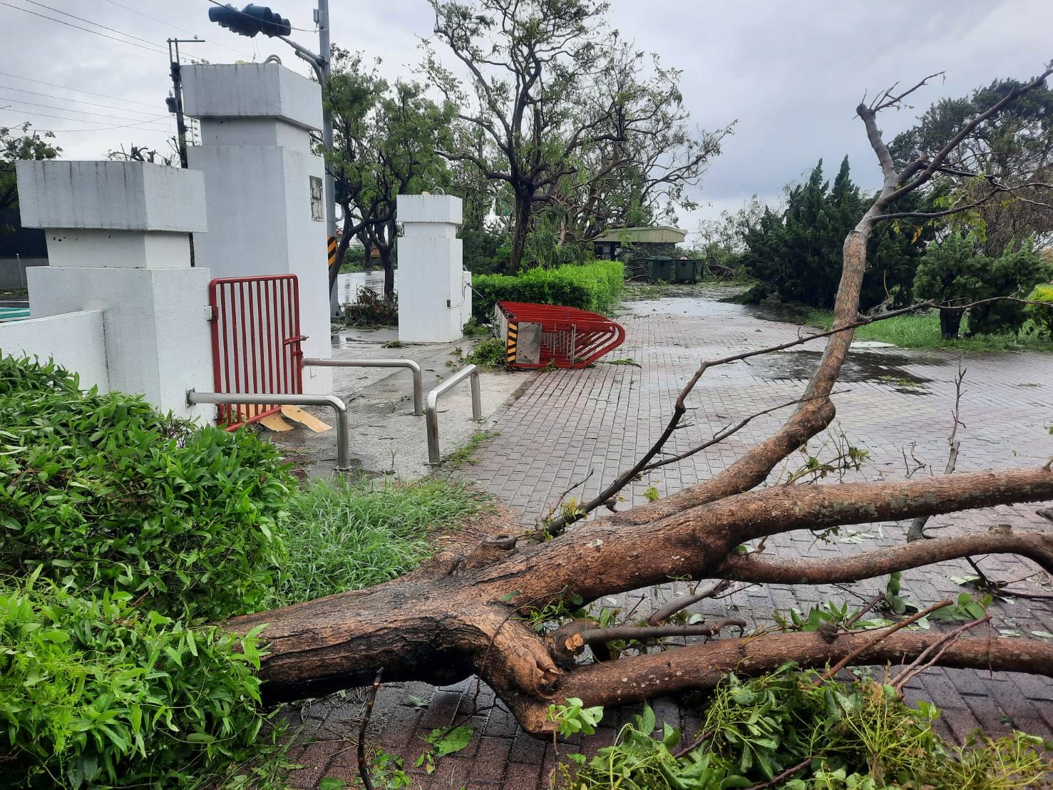 丹娜絲颱風肆虐 南市國中小教職員與社區齊力復原校園環境 全面防堵登革熱疫情