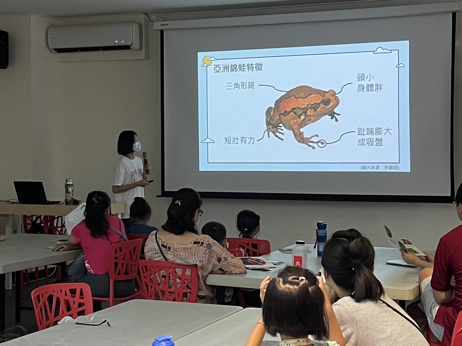 南市農業局辦理外來入侵蛙類防治宣活動  寓教於樂DIY歡迎親子參加