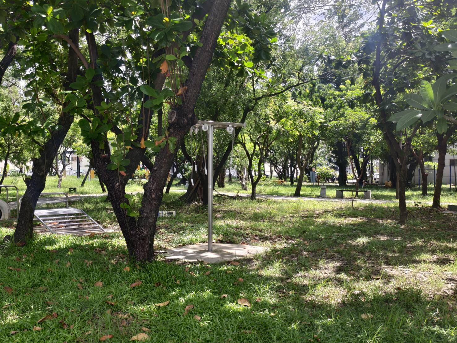 行道樹、公園傾倒樹木清理完成  恢復市容