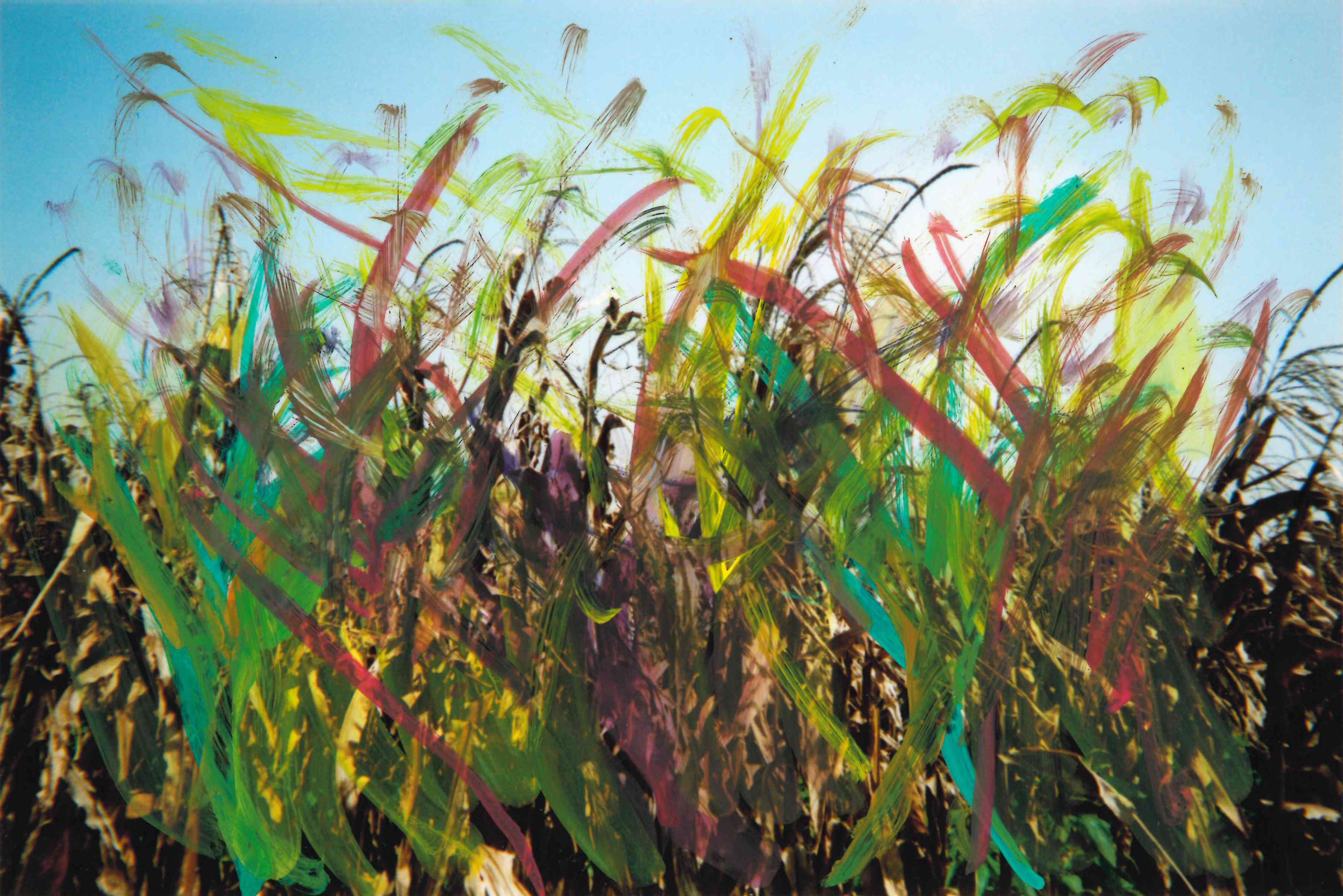 2025「in臺南．無影藏」影像競賽入圍名單出爐   9/20-9/21觀眾票選影展，邀請你來當評審