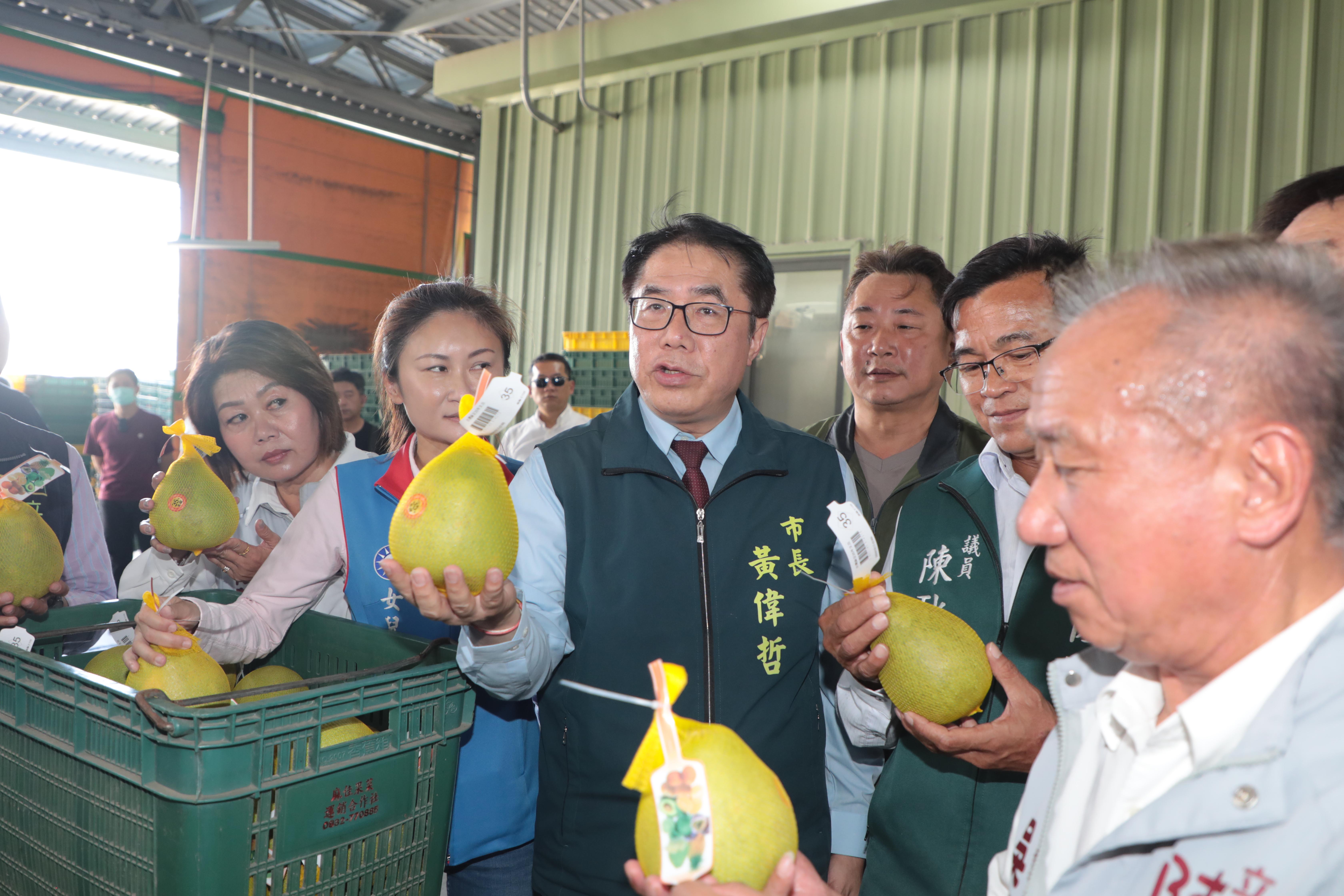 台南麻豆文旦18公噸外銷加拿大　黃偉哲：堅持品質 打開國際市場