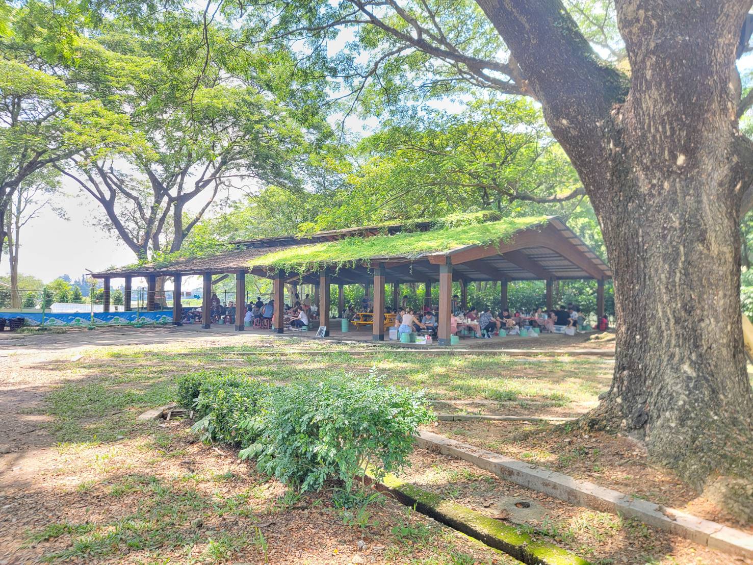 不只烤肉！虎頭埤中秋連假「水陸空」全攻略