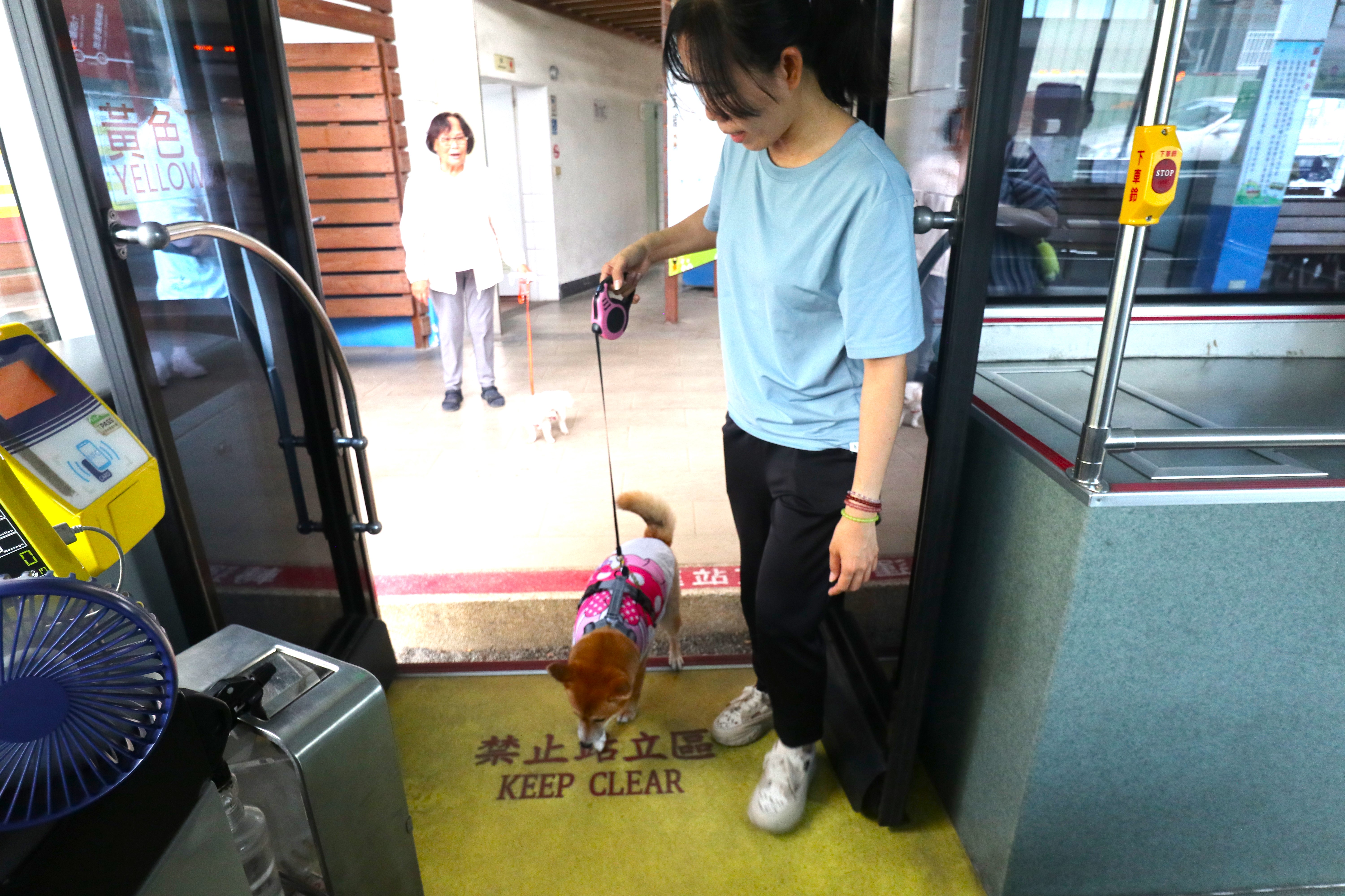 臺南市試辦「假日友善狗狗公車」 歡迎飼主攜毛小孩輕鬆出遊