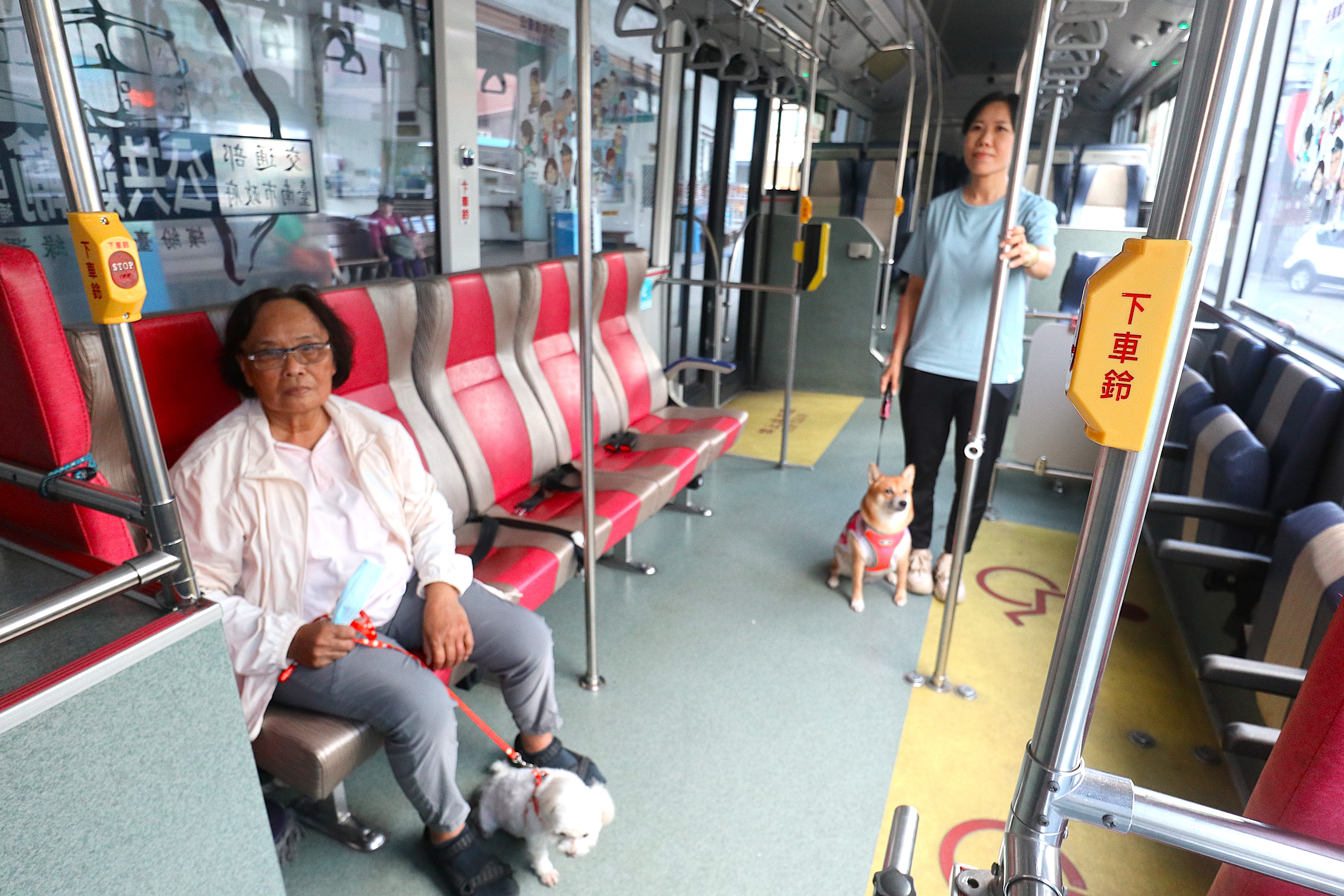 臺南市試辦「假日友善狗狗公車」 歡迎飼主攜毛小孩輕鬆出遊