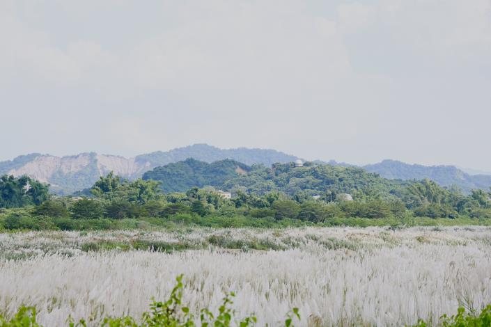 圖片來源：臺南市政府