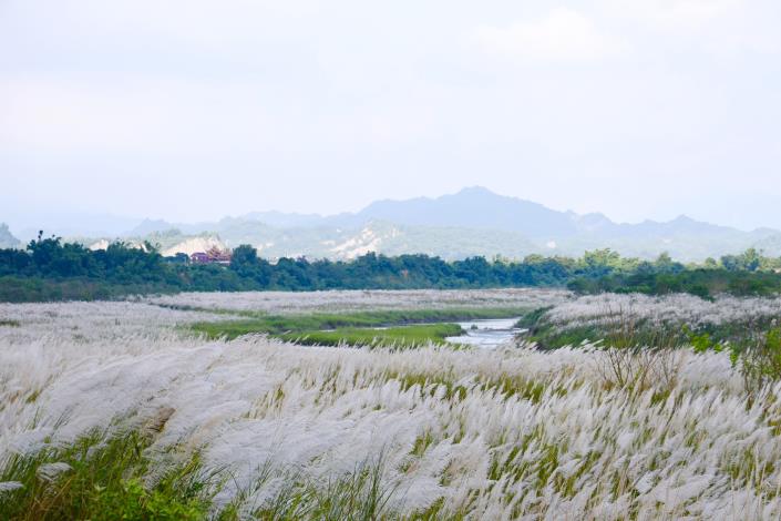 圖片來源：臺南市政府