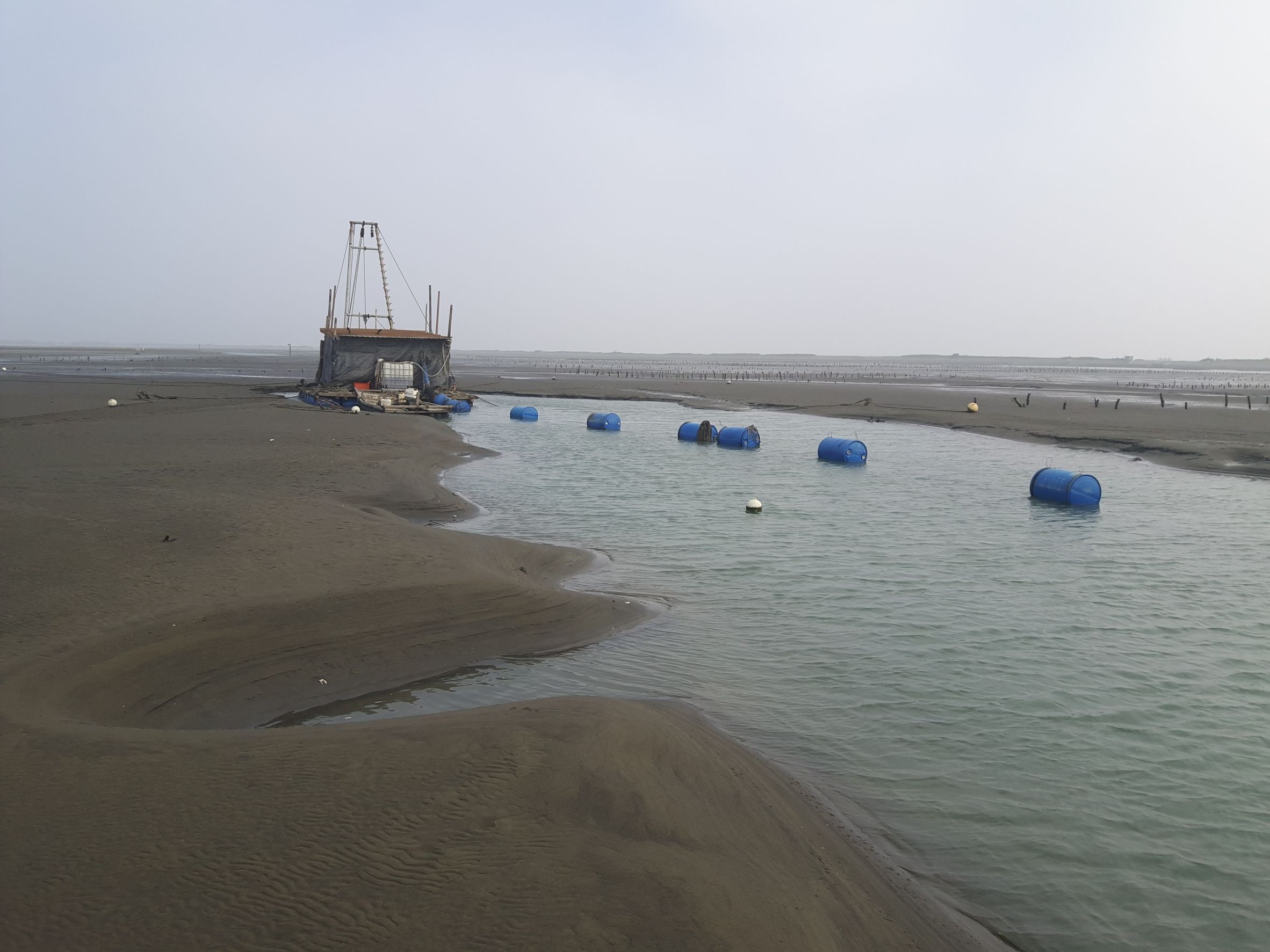 南市府緊急搶修七股潟湖沙洲並推動短中長期復育計畫