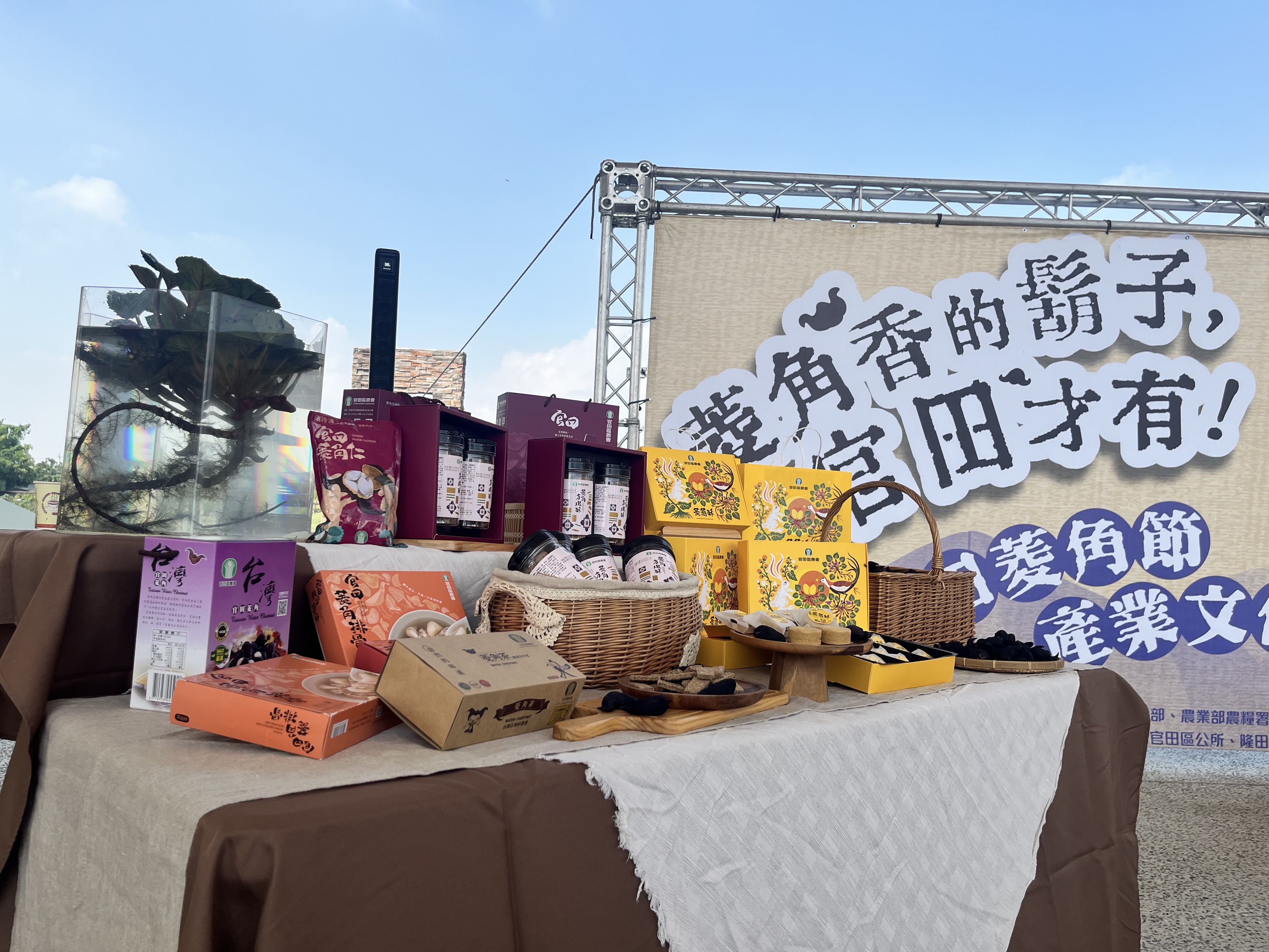 2025台南官田菱角節搶先預告！黃偉哲邀您品嚐在地鮮甜菱角、暢遊官田風光