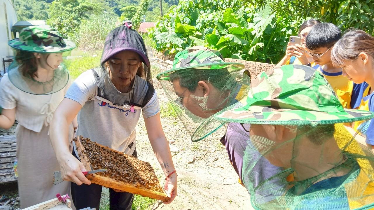 開發多元管道 引領學生探索未來 臺南創新推動國中技藝或職業在地課後課程