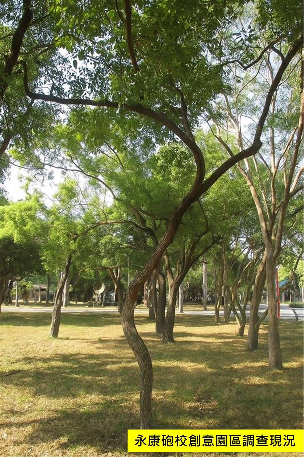 永康砲校創意園區工程設計保留2700棵喬木，守護綠色脈絡