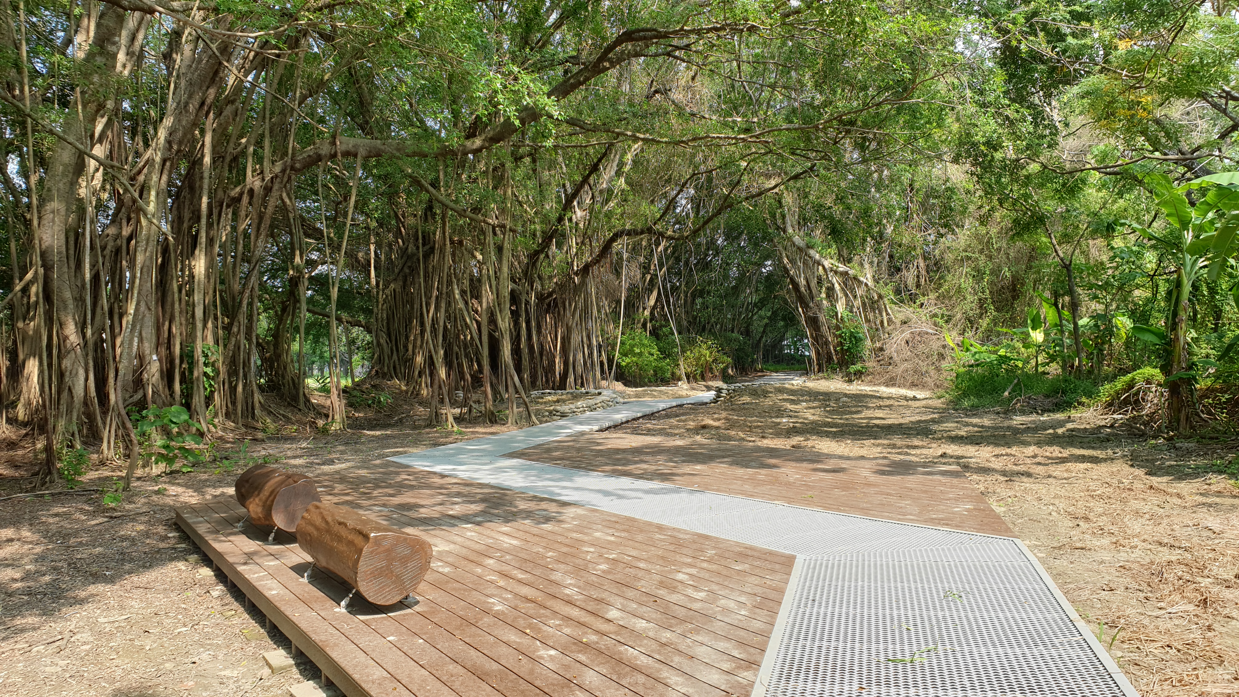 大隆田生態文化園區《隆田森林散策》導覽活動熱烈報名中