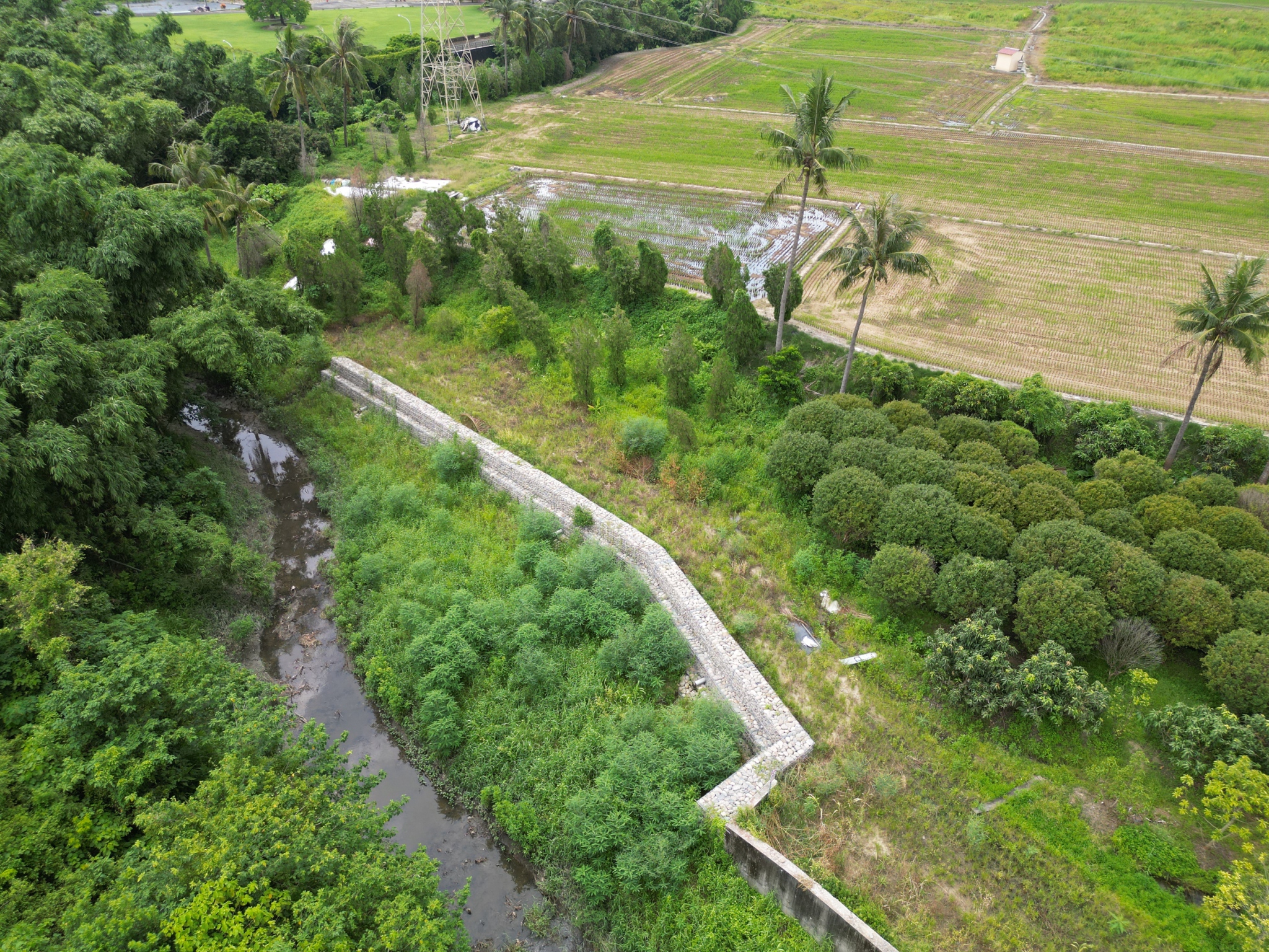 南市第七屆公共工程優質獎出爐  水利局橫掃逾1/3獎項，勇奪「2特優3優等4佳作」