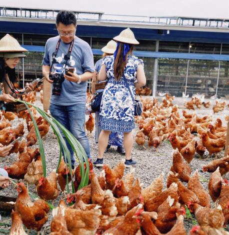 圖片來源：臺南市政府