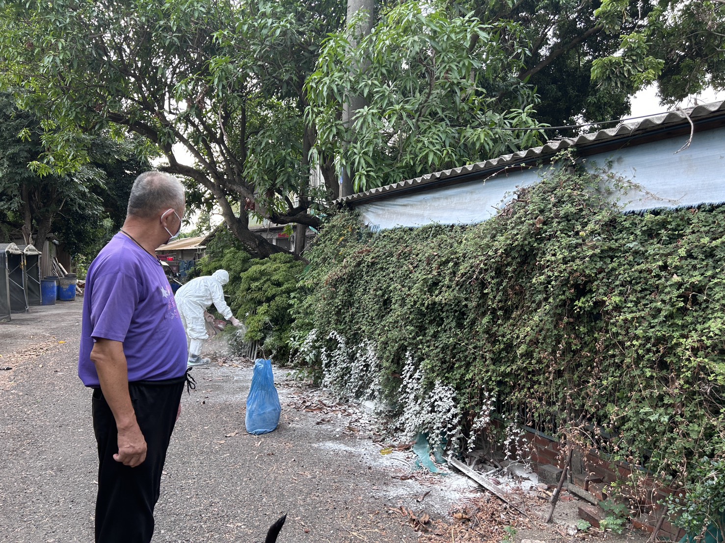 臺南市政府即時攔截有疑慮的豬肉原料， 全面強化食安稽查與防疫措施！