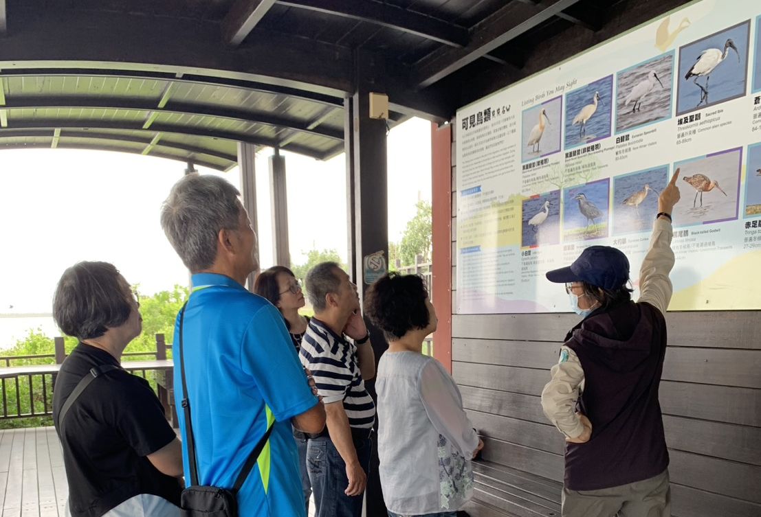 台灣好行98府城台江線 11/1起加開賞鳥季班次 一日暢遊府城古蹟與黑琵濕地