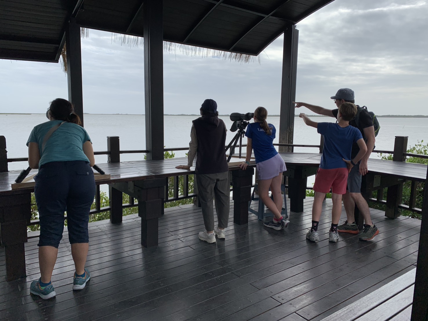台灣好行98府城台江線 11/1起加開賞鳥季班次 一日暢遊府城古蹟與黑琵濕地