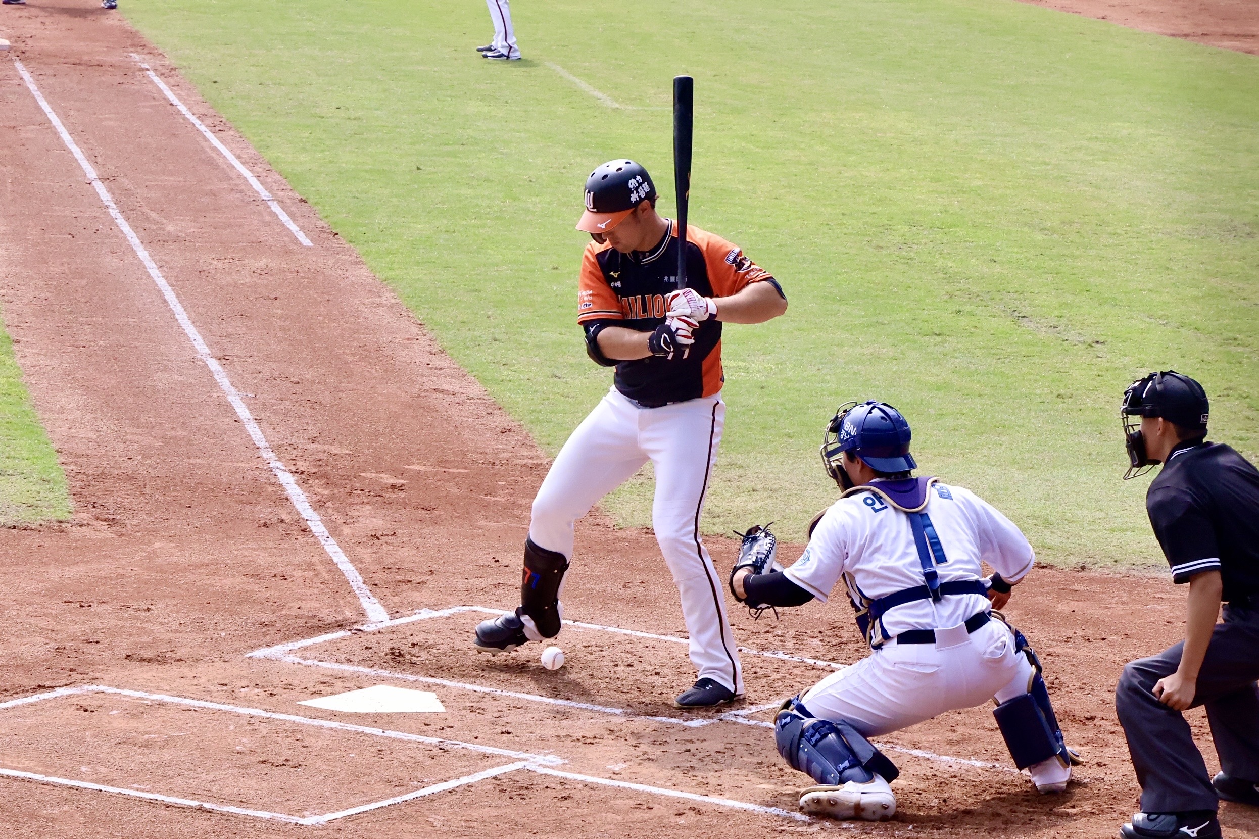 台南深化國際體育交流　擴大城市能見度