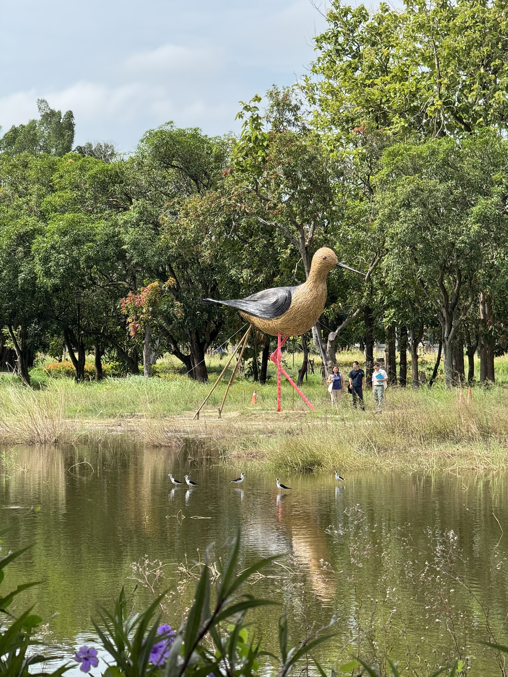 高蹺鴴現蹤官田大隆田——竹藝地景作品《躼跤紅跤痕》啟動自然共生新篇章
