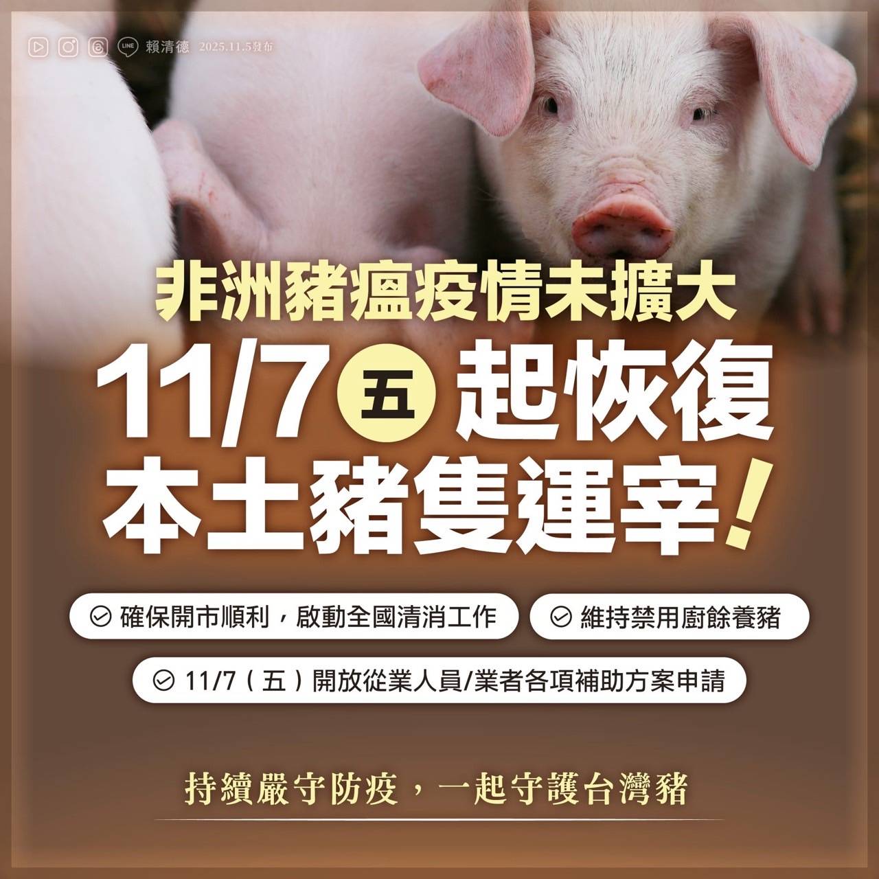 肉品市場恢復豬隻拍賣與屠宰　 市府嚴密防疫守護國人餐桌安全