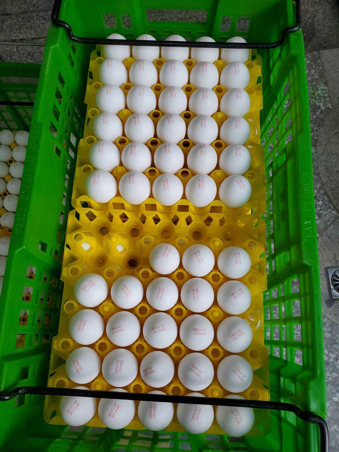 南市學校午餐蛋品全面清查 確認無使用芬普尼雞蛋 市長黃偉哲：全力守護學生午餐安全