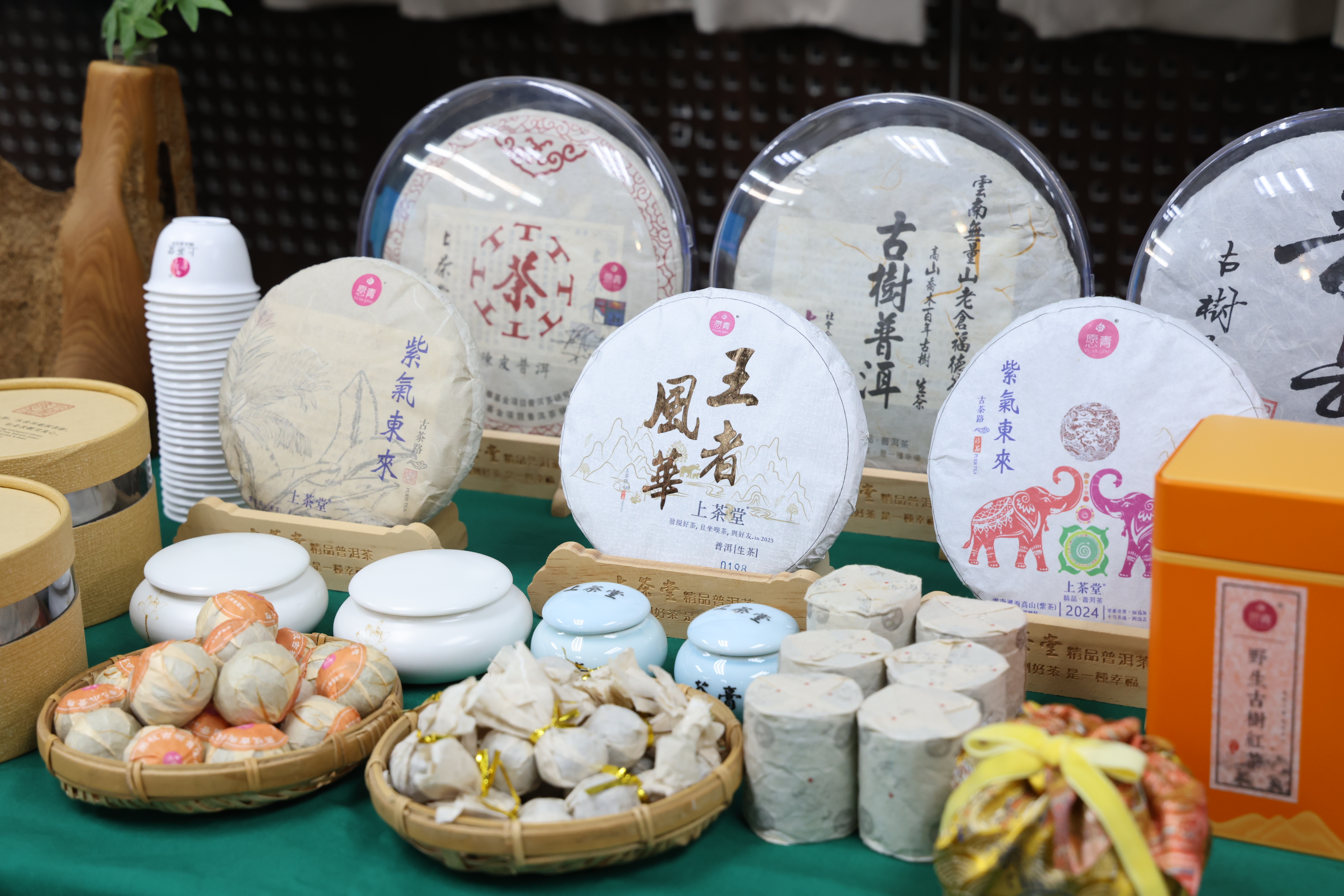 台南市ESG概念店認證第三屆新增22家卓越門市 再展城市永續商業能量