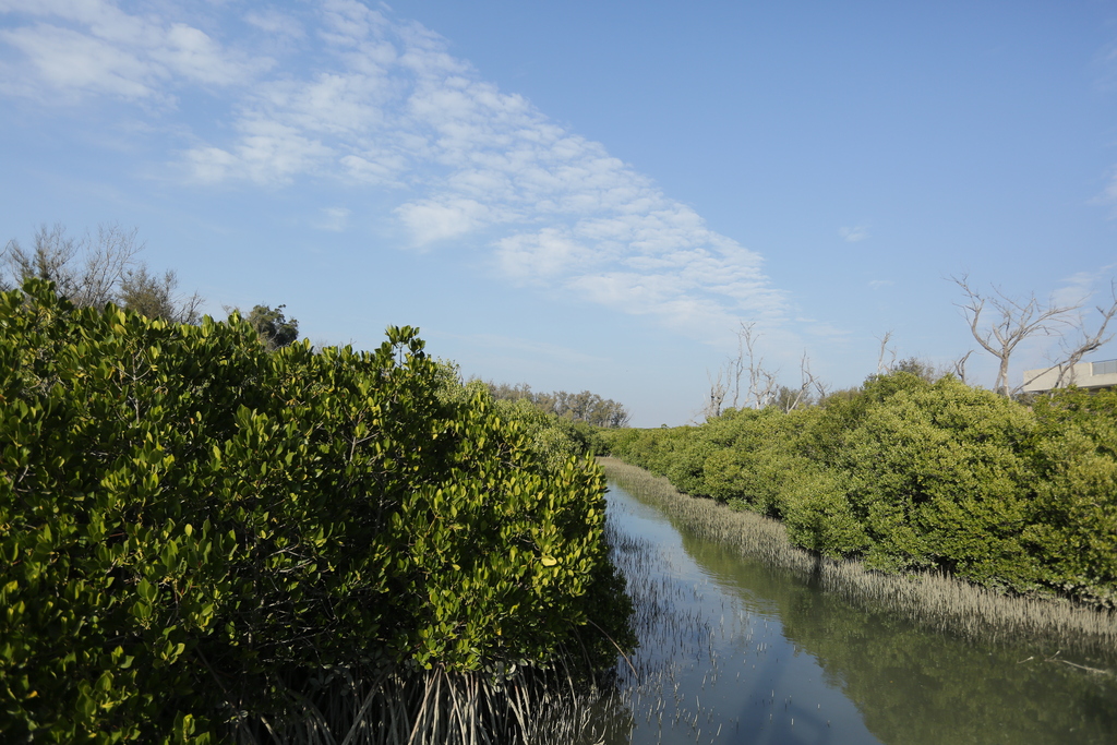 雙春濱海遊憩區南側棧道及園區設施修繕工程第一階段完成 預計明年第2季全面開放