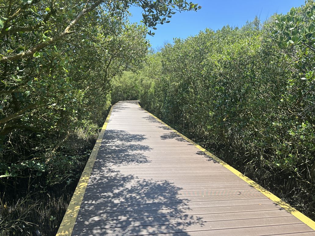 雙春濱海遊憩區南側棧道及園區設施修繕工程第一階段完成 預計明年第2季全面開放