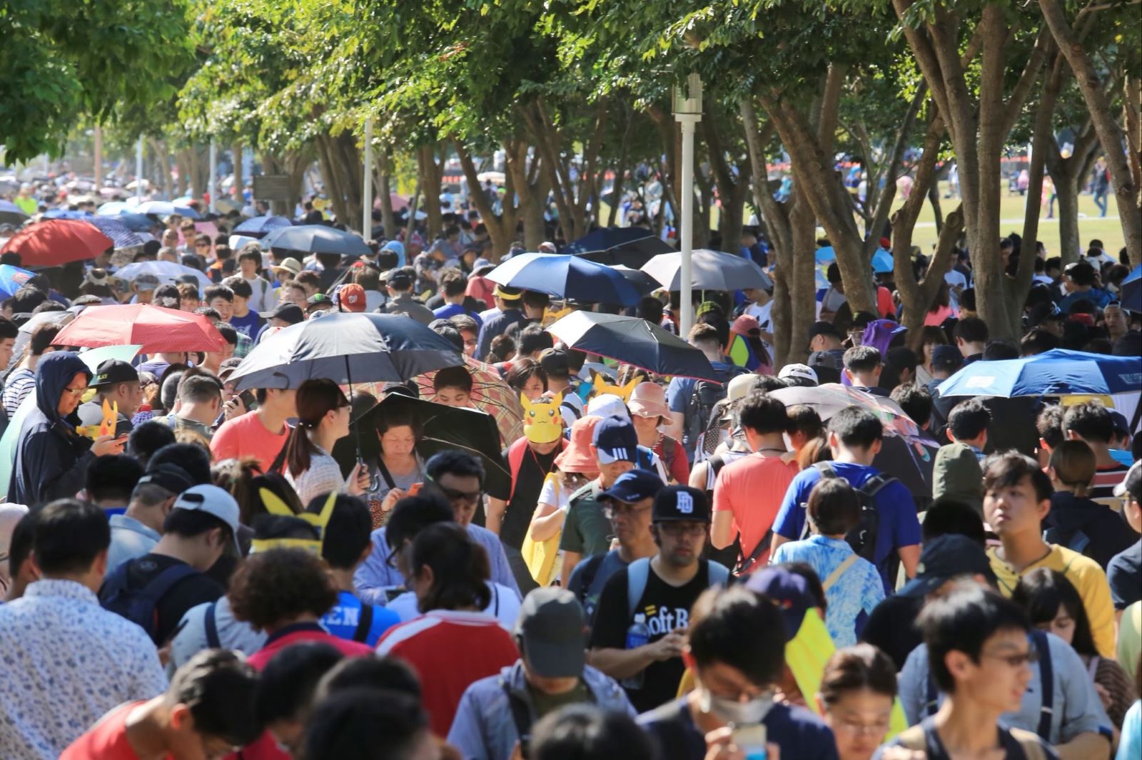 Pokémon GO Tour：卡洛斯－臺南 2026臺南都會公園盛大登場 歡迎全球寶可夢訓練家共聚臺南日夜High