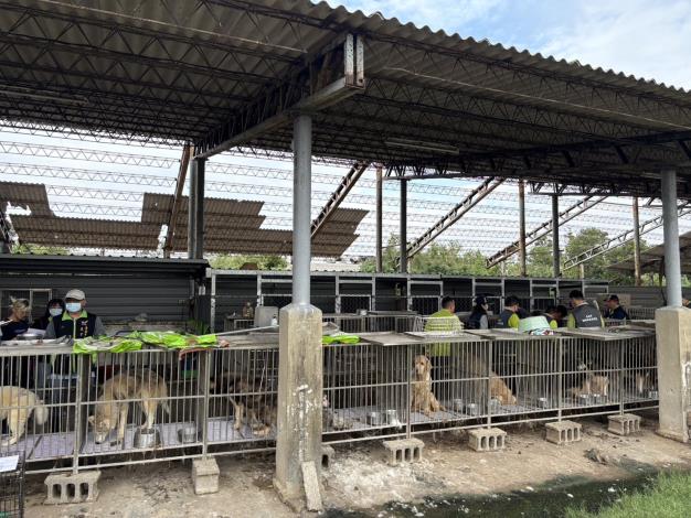 圖片來源：臺南市政府