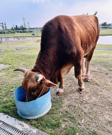 圖片來源：臺南市政府