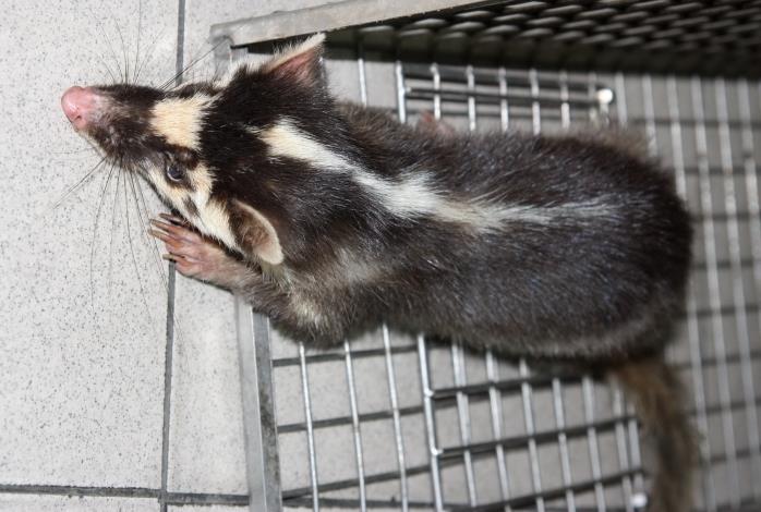 圖片來源：臺南市政府