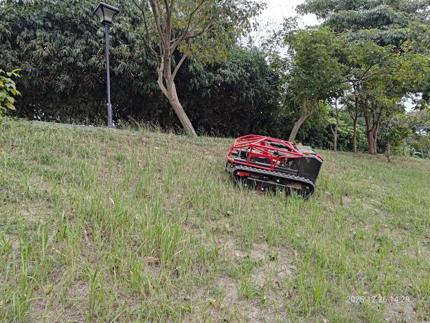 圖片來源：臺南市政府