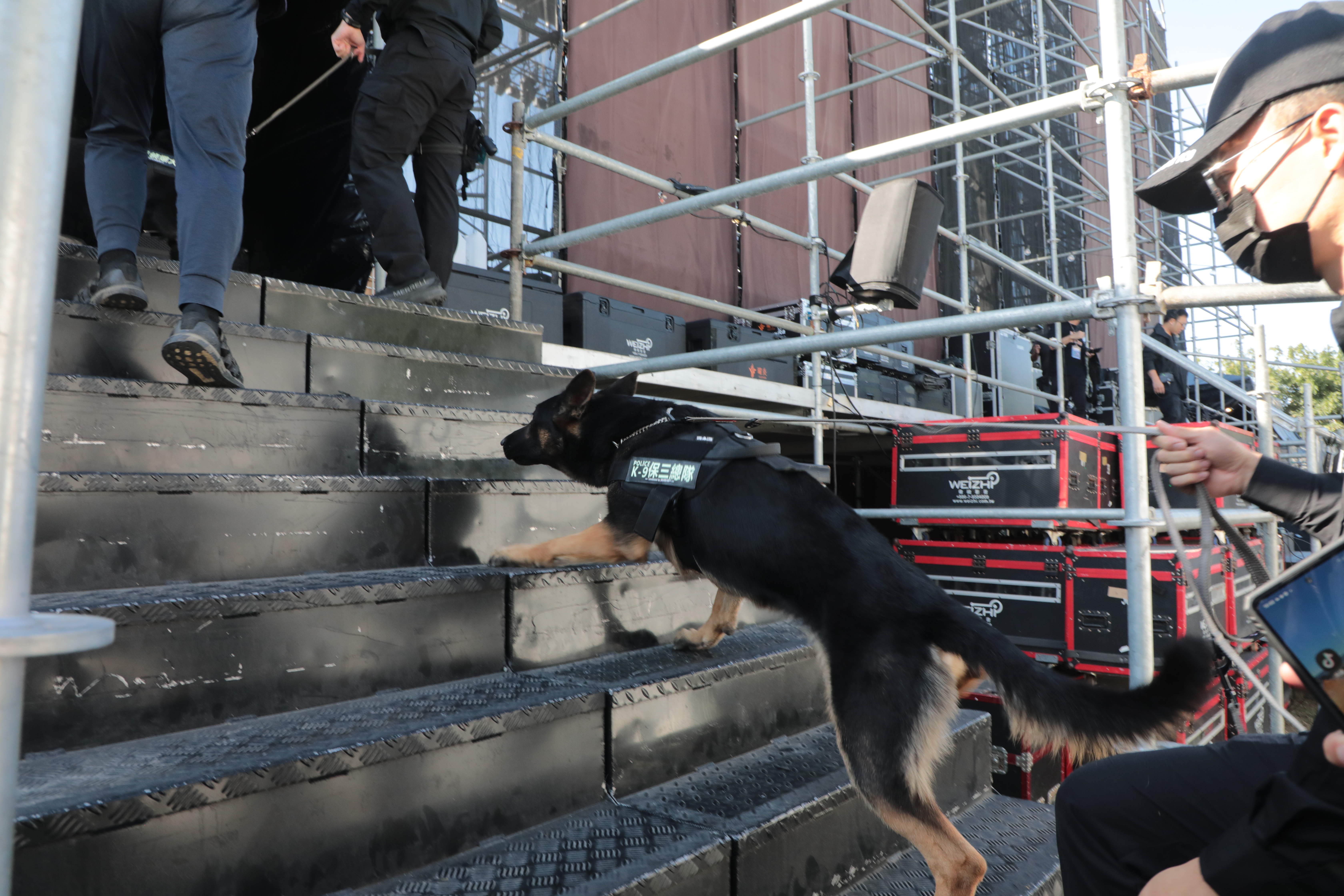 台南瘋跨年！豪華卡司加3,500發煙花秀 數百歌迷坐等開場 場外防爆犬加強治安