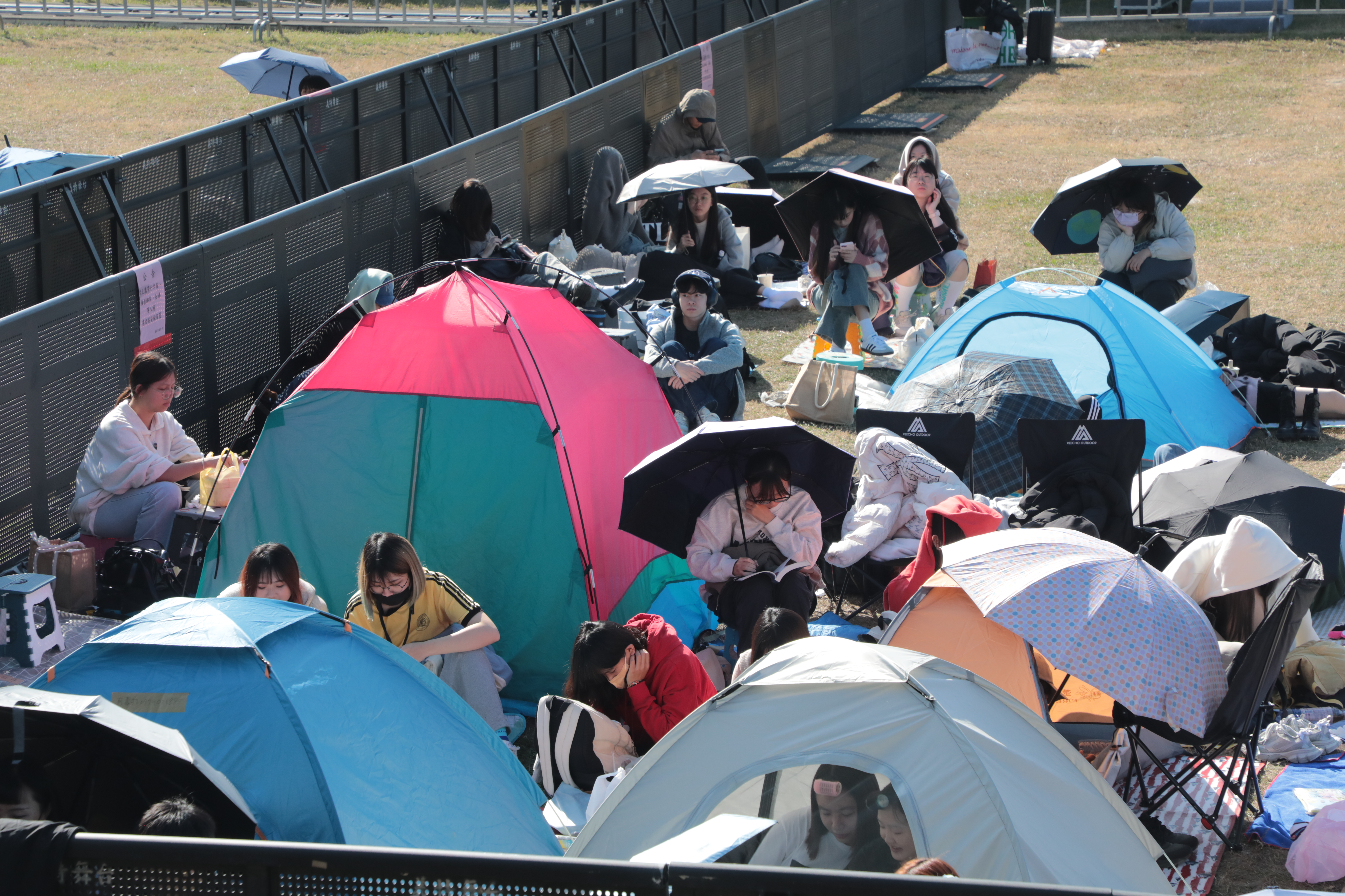 台南瘋跨年！豪華卡司加3,500發煙花秀 數百歌迷坐等開場 場外防爆犬加強治安
