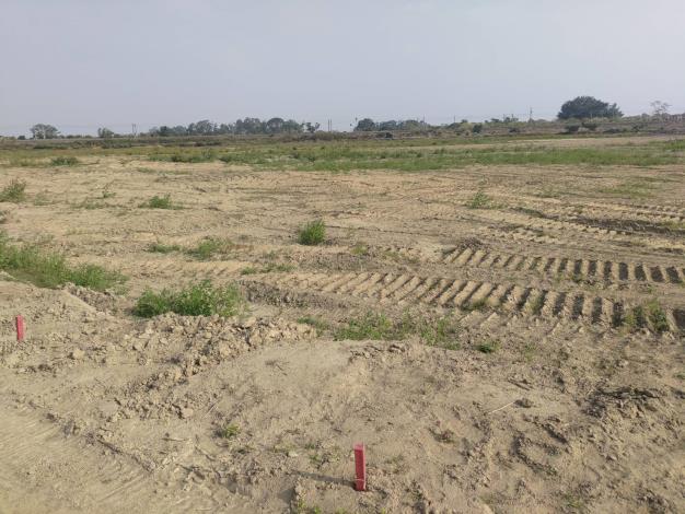 圖片來源:臺南市政府